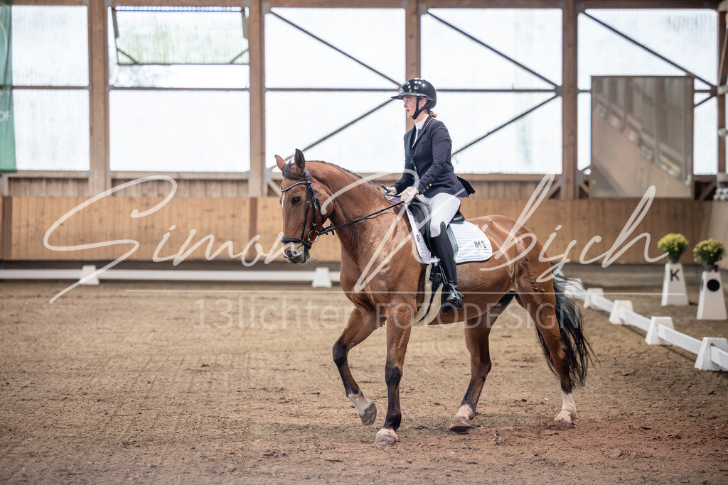 20251011-_3LI9429 | Tierfotografie Pferde, Hunde, Katzen, Haustiere.
Turnierfotografie Reitturniere, Reiten, Springreiten, Dressur in Hanau, dem Main-Kinzig-Kreis und dem Rhein-Main- Gebiet um Frankfurt