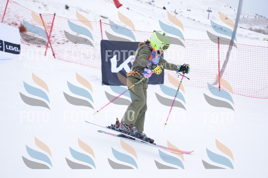 DSC_7798 | holidayphoto