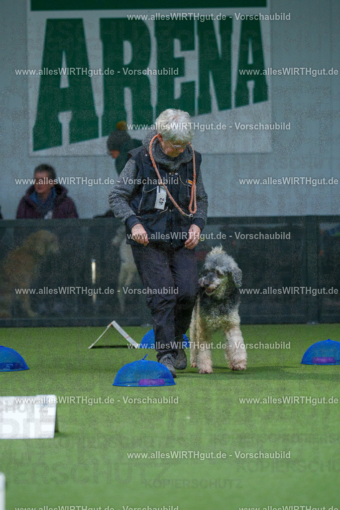 7R501249 | Professionelle Tierfotografie in Mönchengladbach von Daniel Wirth (allesWIRTHgut). Liebevolle & natürliche Bilder von Hunden & Katzen für unvergessliche Erinnerungen.