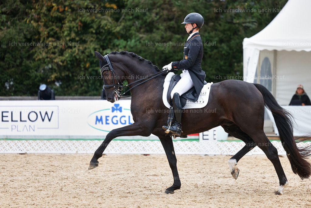 12-229-DRESSUR  S___  -StoibPH-5333 | working equitationturnier fotograf videograf stoibphotography marixx film working equitation deutschland reitsport turnierfotografie eventfotografie equestrian events