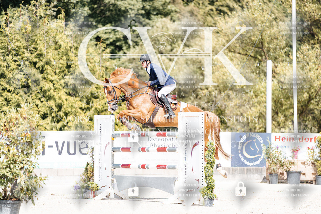 CK904829 | Turnierfotografie Pferdefotografie Trier Rheinland-Pfalz Pferdesport Reitsport Tierfotografie Sportfotografie Pferdevideo Pferdevideografie Equestrianvideography equestrianphotography  - Realisiert mit Pictrs.com