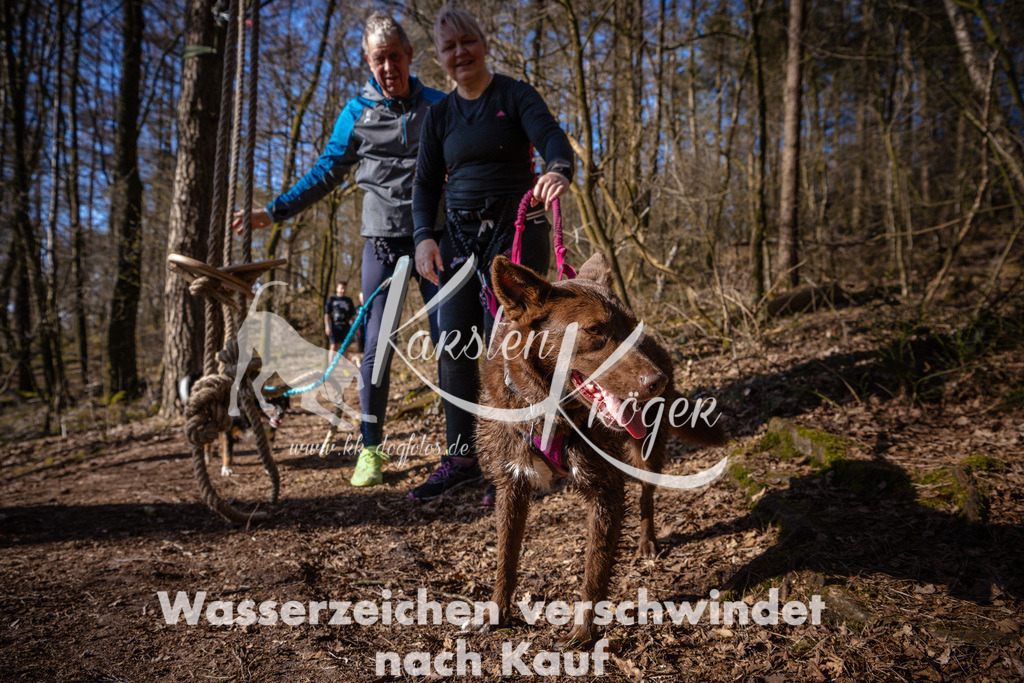 0925_ZZ97762 | kk-dogfotos