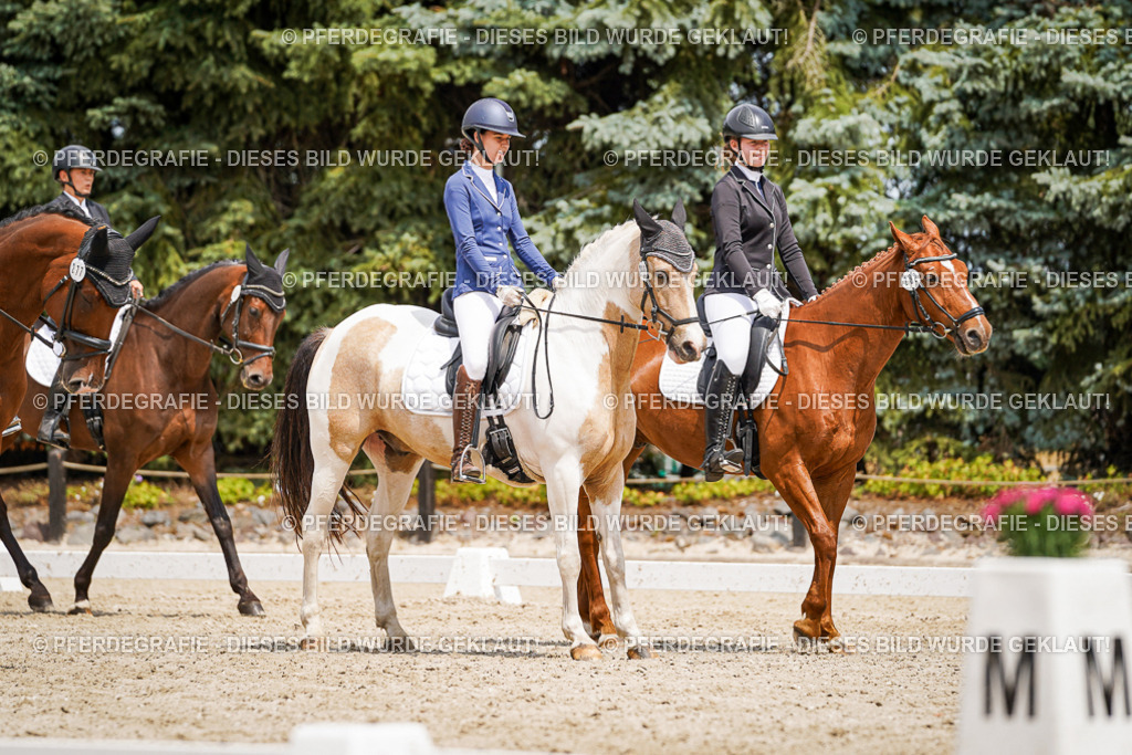 DSC03726 | Pferdegrafie