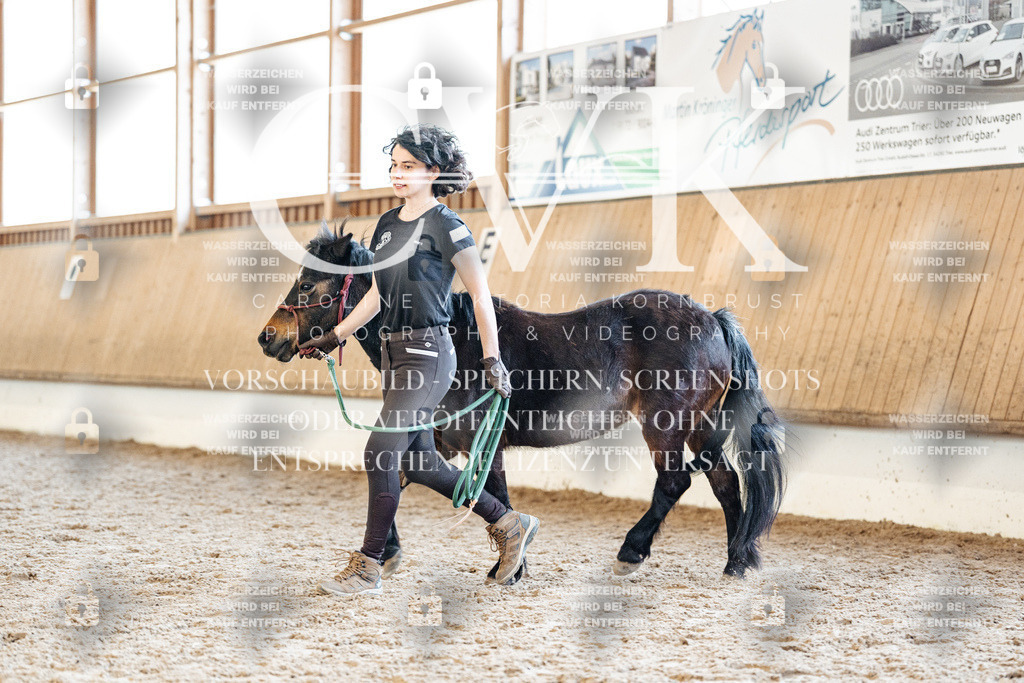 CK906869 | Turnierfotografie Pferdefotografie Trier Rheinland-Pfalz Pferdesport Reitsport Tierfotografie Sportfotografie Pferdevideo Pferdevideografie Equestrianvideography equestrianphotography  - Realized with Pictrs.com
