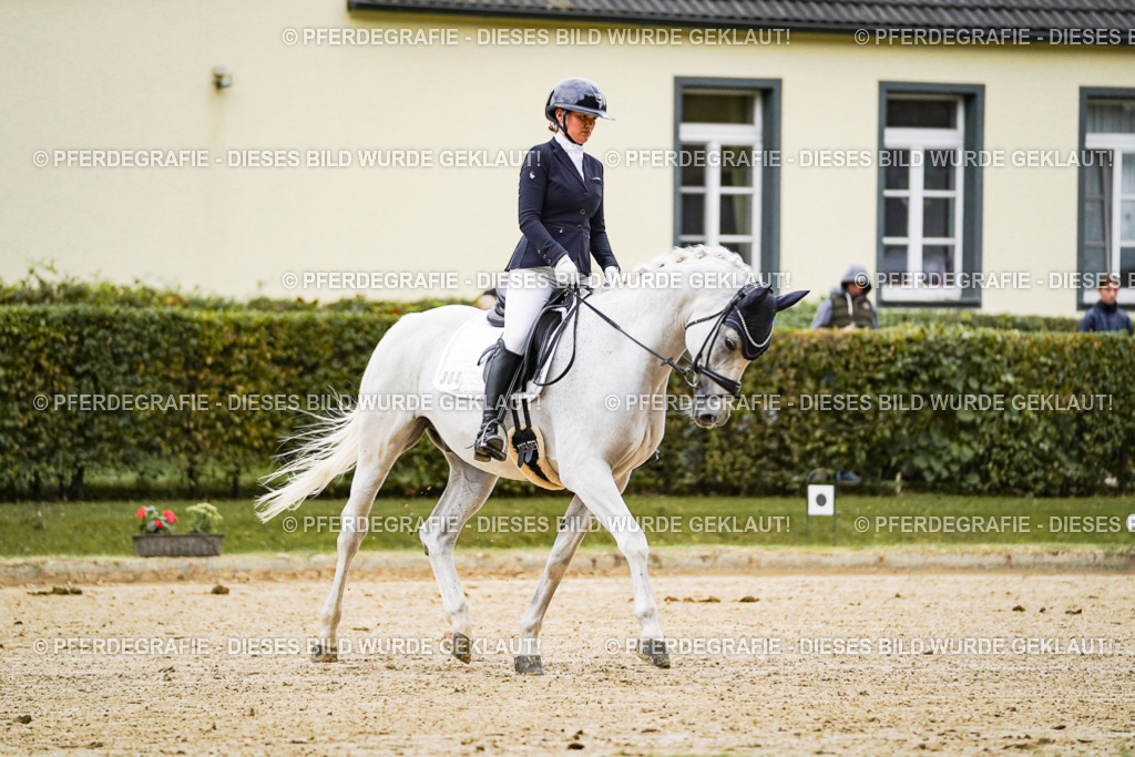 DSC06638 | Pferdegrafie