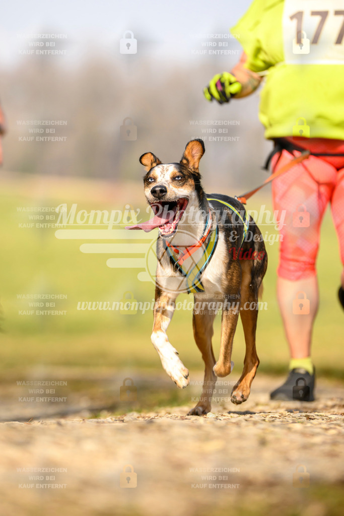 MompixPhotography_6ReiatRennen2026_SA_HappyDog-44 | PayLife