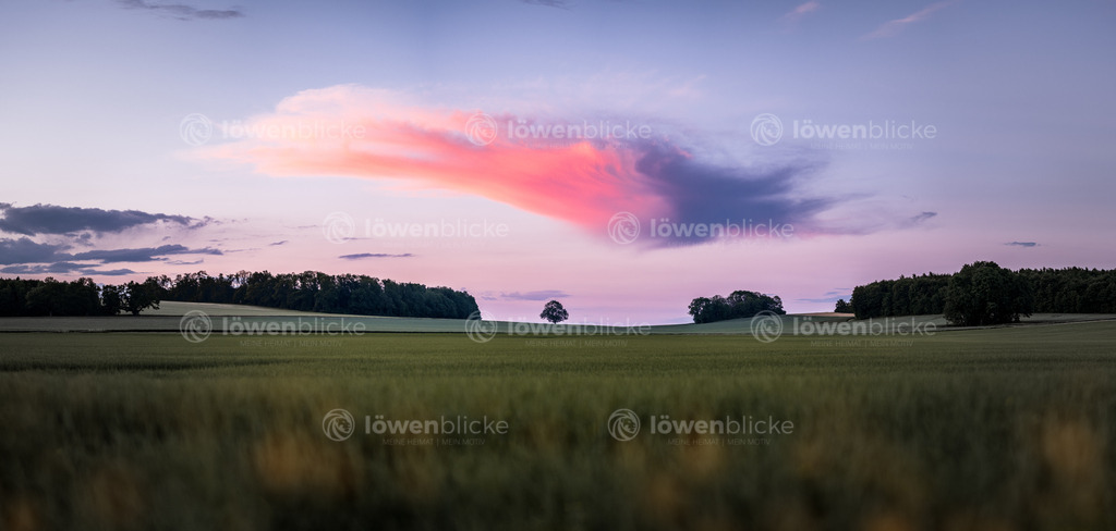 Felder hinter Oberweckerstell | löwenblicke | shop