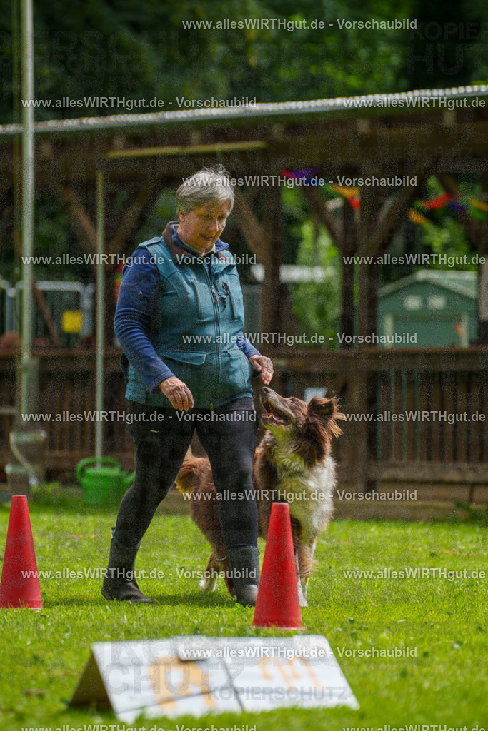 @allesWIRTHgut_Tierfotografie - www.allesWIRTHgut.de - 101149-7R508150 | Professionelle Tierfotografie in Mönchengladbach von Daniel Wirth (allesWIRTHgut). Liebevolle & natürliche Bilder von Hunden & Katzen für unvergessliche Erinnerungen.