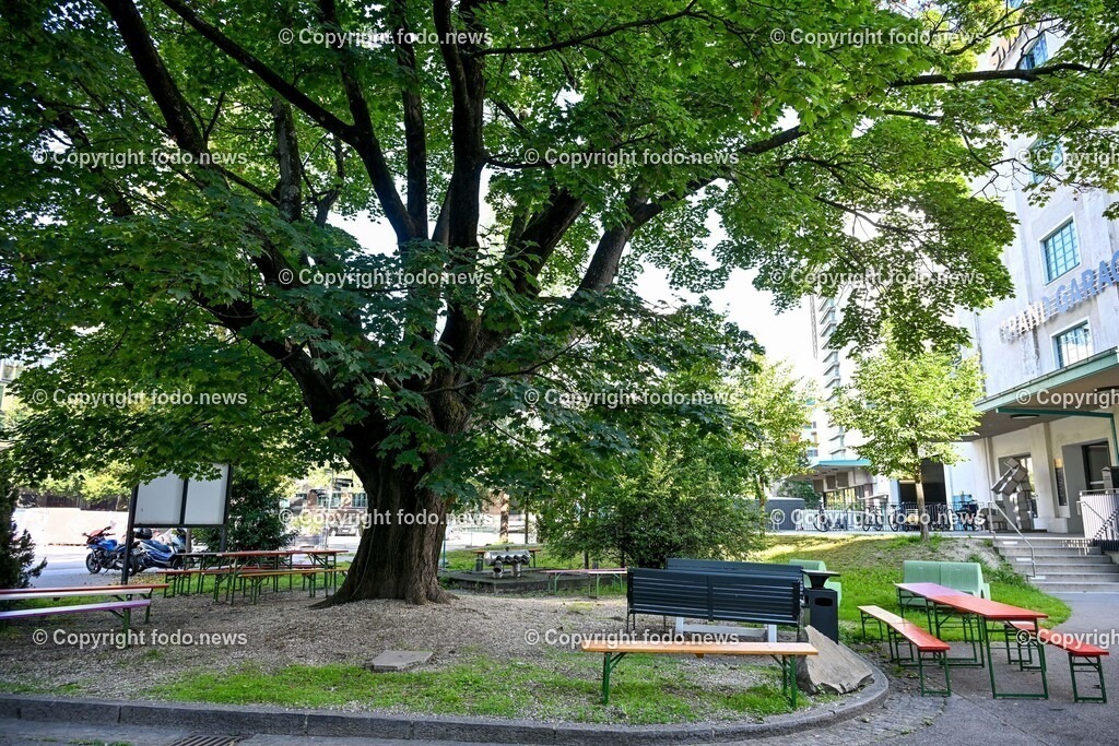 Linz_ Tabakfabrik Linz_ 12.08.2025-19 | 12.08.2025, LINZ, AUT, Tabakfabrik Linz, im Bild Themenbild, Tabakfabrik Linz, Moderne Base, Kreativzentrum, Linz, Oberoesterreich, Architektur, Industriekultur, Innovation, Co-Working, Start-ups, Kunst, Design, Digitalisierung, Veranstaltungen, Ausstellungen, Urbaner Raum, Netzwerken, Makerspace, Gruenderszene, Community, Transformation, Begegnungsort, Kreativwirtschaft, Zukunftsprojekt, Denkfabrik, Grand Garage, Symbolbild, Feature