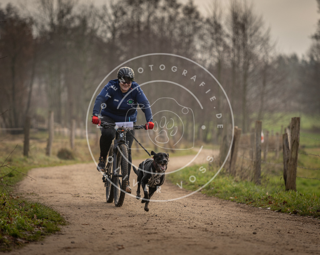 Pfotenfotografie_DV3A2022 | Hundefotografie, Tierfotograf, Pfotenfotografie, Fotoshooting Hund, Hunde Portrait, Hundesport, Hundeportraits, Heideshooting, Hunde, Sportfotograf, Hundefotograf, Turnierhundsport, THS,  - Realisiert mit Pictrs.com