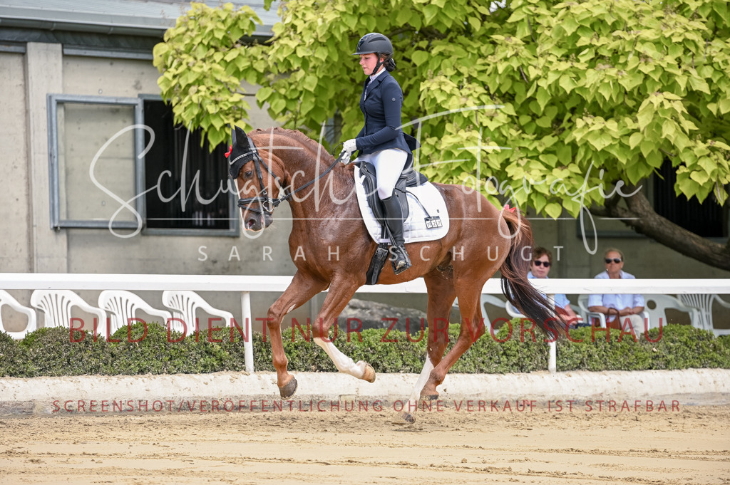 Schugtsche-Aluta25-48.Reitpferfdeprf.-159 | Schugtsche Fotografie - Realisiert mit Pictrs.com