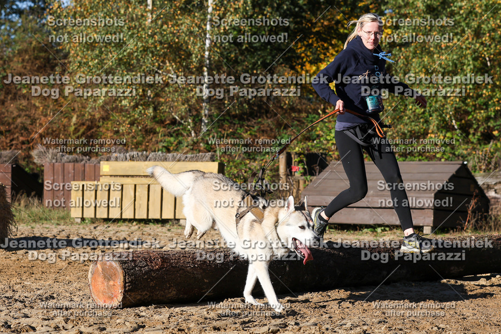 Dog Paparazzi - Strongdog 10-25-1685 | Dog Paparazzi Jeanette Grottendiek Fotografie & Videografie - Realisiert mit Pictrs.com