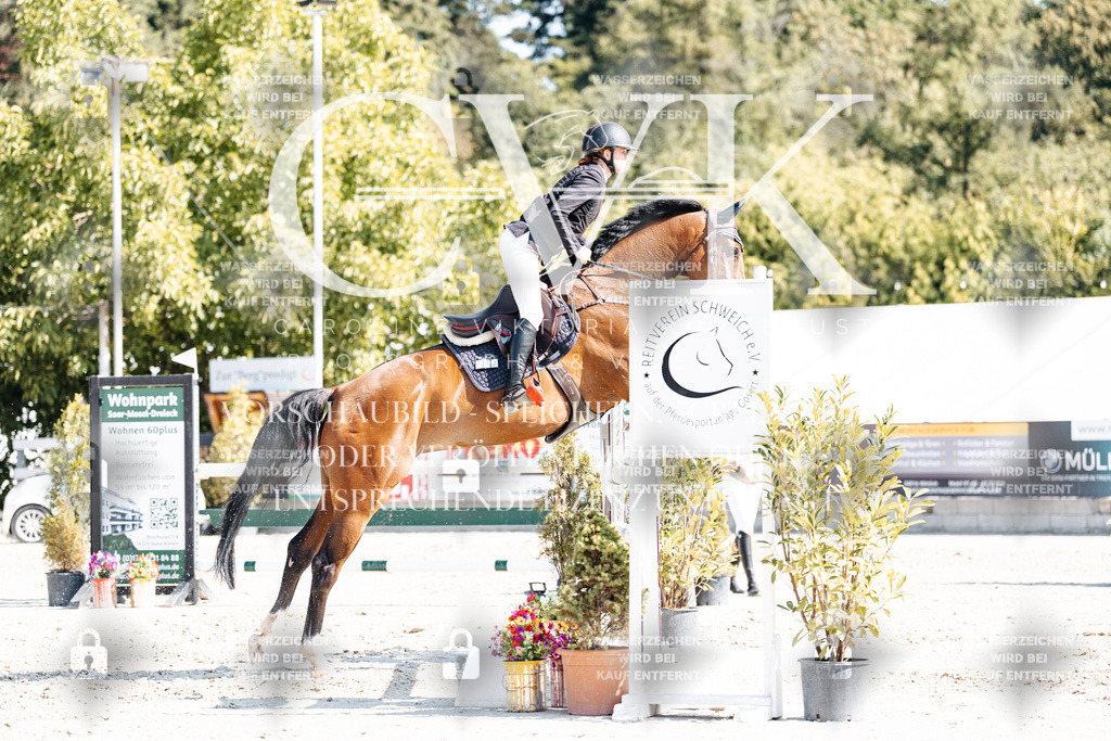 CK902690 | Turnierfotografie Pferdefotografie Trier Rheinland-Pfalz Pferdesport Reitsport Tierfotografie Sportfotografie Pferdevideo Pferdevideografie Equestrianvideography equestrianphotography  - Realisiert mit Pictrs.com