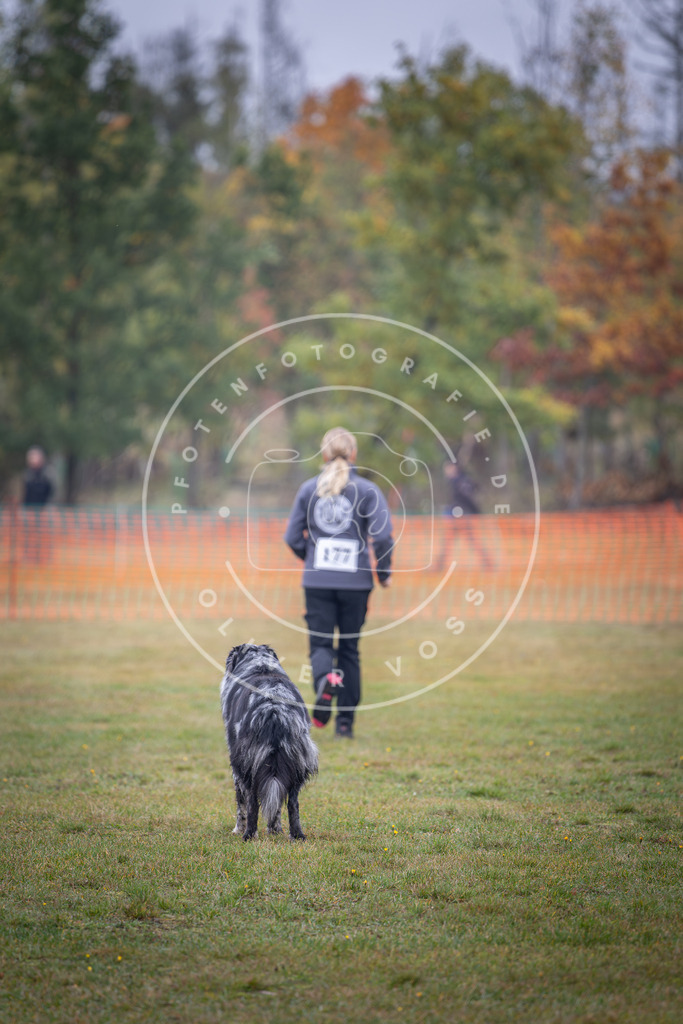 Pfotenfotografie_DV3A9430 | Hundefotografie, Tierfotograf, Pfotenfotografie, Fotoshooting Hund, Hunde Portrait, Hundesport, Hundeportraits, Heideshooting, Hunde, Sportfotograf, Hundefotograf, Turnierhundsport, THS,  - Realisiert mit Pictrs.com