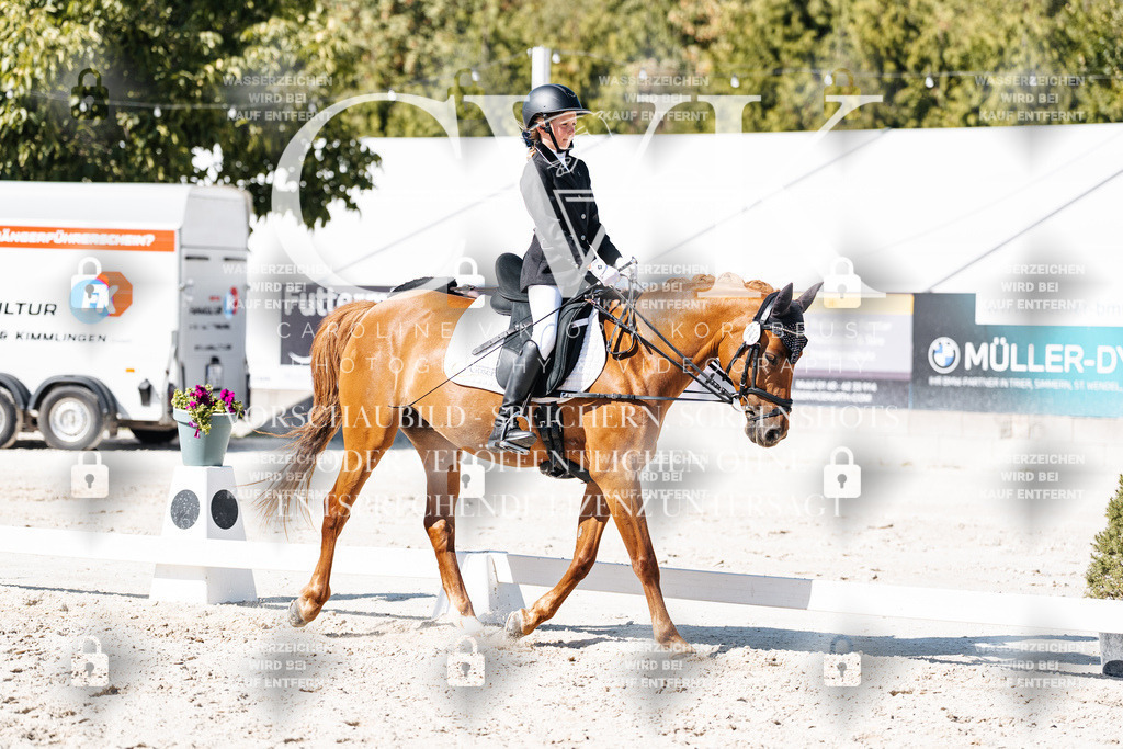 CK902943 | Turnierfotografie Pferdefotografie Trier Rheinland-Pfalz Pferdesport Reitsport Tierfotografie Sportfotografie Pferdevideo Pferdevideografie Equestrianvideography equestrianphotography  - Realisiert mit Pictrs.com