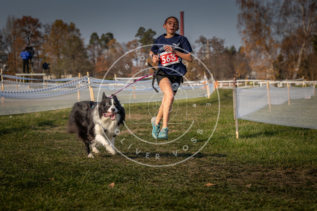 CaniXpix_0L8A9401 | Hundefotografie, Tierfotograf, Pfotenfotografie, Fotoshooting Hund, Hunde Portrait, Hundesport, Hundeportraits, Heideshooting, Hunde, Sportfotograf, Hundefotograf, Turnierhundsport, THS,  - Realisiert mit Pictrs.com