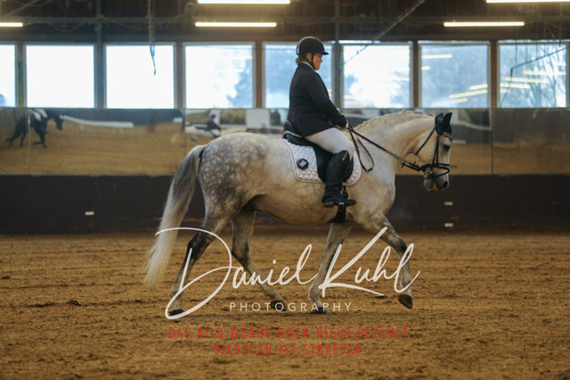 IMG_8206 | Turniersportfotografie; Pferdefotografie; Dressurfotografie