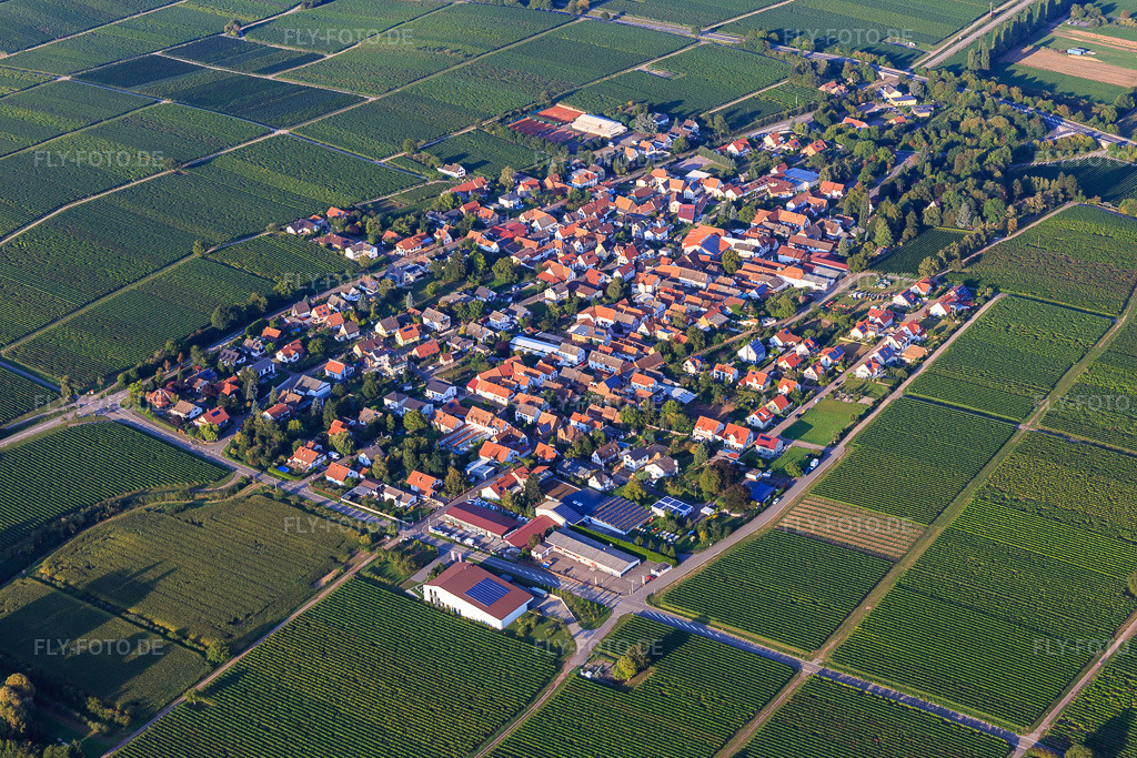 Luftbild: Ortsansicht von Westen in Walsheim im Bundesland Rheinland-Pfalz in Deutschland. Foto: IMG_103199.jpg vom 03.09.2017 durch Werner Riehm/FLY-FOTO.de