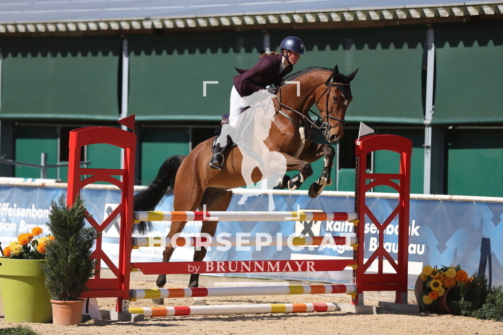 0P6A8872 | Willkommen bei Brunnmayr - Design & Fotografie – Ihrem Spezialisten für Reitturniere und Pferdeveranstaltungen in Oberösterreich, Salzburg und Bayern! Seit über 17 Jahren sind wir leidenschaftlich dabei.