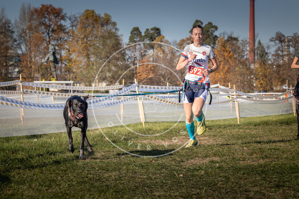 CaniXpix_0L8A8350 | Hundefotografie, Tierfotograf, Pfotenfotografie, Fotoshooting Hund, Hunde Portrait, Hundesport, Hundeportraits, Heideshooting, Hunde, Sportfotograf, Hundefotograf, Turnierhundsport, THS,  - Realisiert mit Pictrs.com