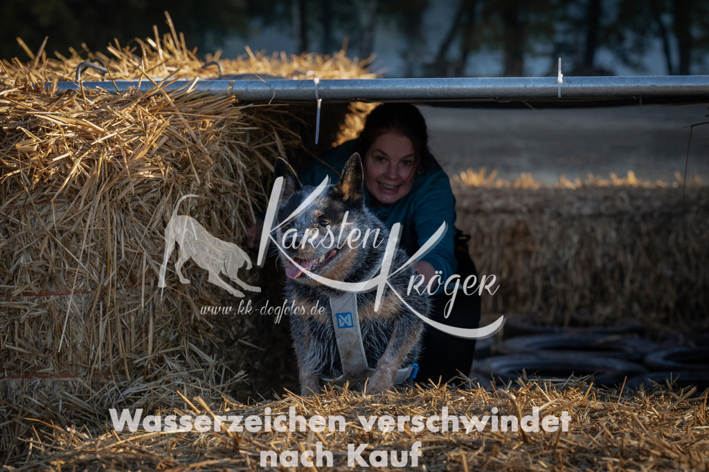 0914_ZZ92151 | kk-dogfotos