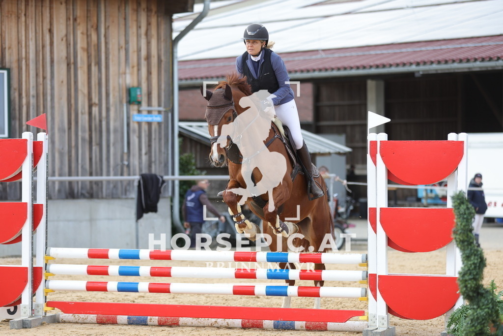 0P6A7159 | Willkommen bei Brunnmayr - Design & Fotografie – Ihrem Spezialisten für Reitturniere und Pferdeveranstaltungen in Oberösterreich, Salzburg und Bayern! Seit über 17 Jahren sind wir leidenschaftlich dabei.