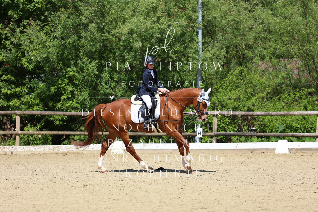 IMGS3295 | pl-fotografie