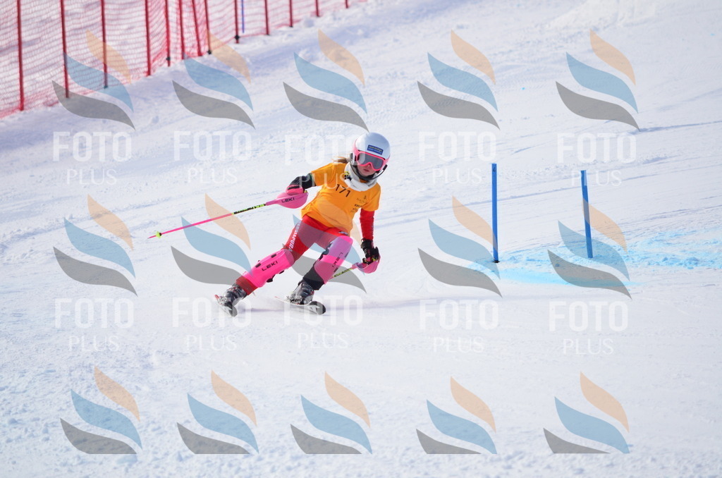 C7900 | holidayphoto