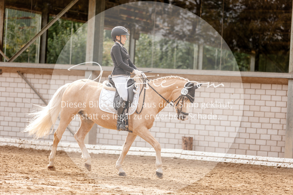 3I6A7514 | Stimmungsvolle Portraits und Reitsportfotografie im Ruhrgebiet und im Münsterland.

Pferdefotografie, Hundefotografie, Tierfotografie, Reportagen, Portraits von Tier und Mensch, Turnierfotografie in Bochum, Recklinghausen, Marl, Haltern am See, Dülmen.. - Realisiert mit Pictrs.com