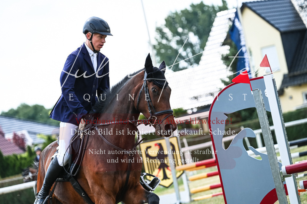 DSC_8962 | Pferde- und Turnierfotografie in Westsachsen. Pferdeportraits, Auftragszeichnungen und intuitive Kunst.