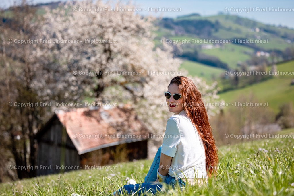 Birnbaumblute Mostviertel 28042021-3160 | Fotos und Fotoprodukte - Realisiert mit Pictrs.com