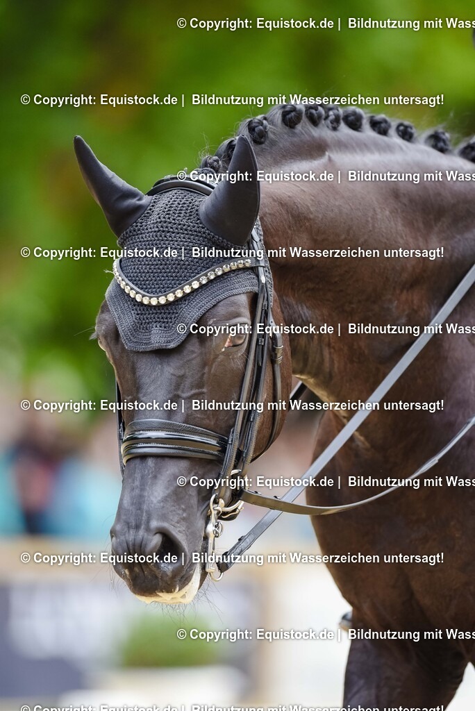 20250608_03_GP-Special-Tour_0583 | Foto: Thomas Hartig