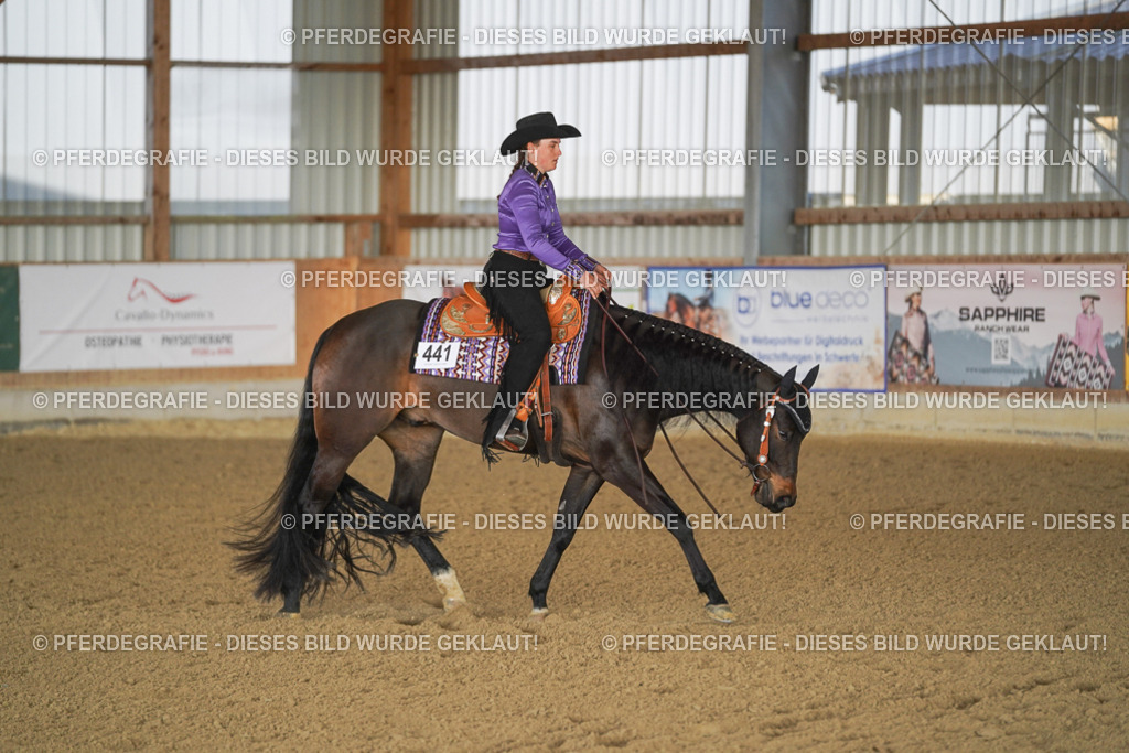 DSC08976 | Pferdegrafie