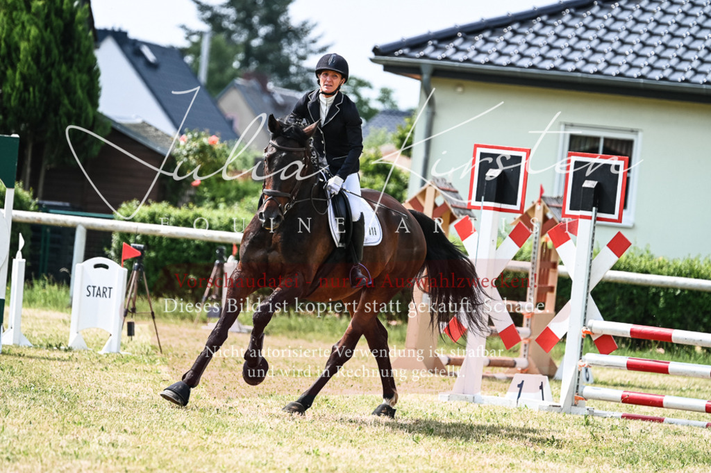 DSC_8879 | Pferde- und Turnierfotografie in Westsachsen. Pferdeportraits, Auftragszeichnungen und intuitive Kunst.