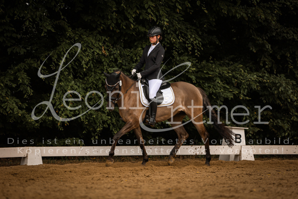 DoDrE00371 | Leoni Ertmer Photography - Realisiert mit Pictrs.com