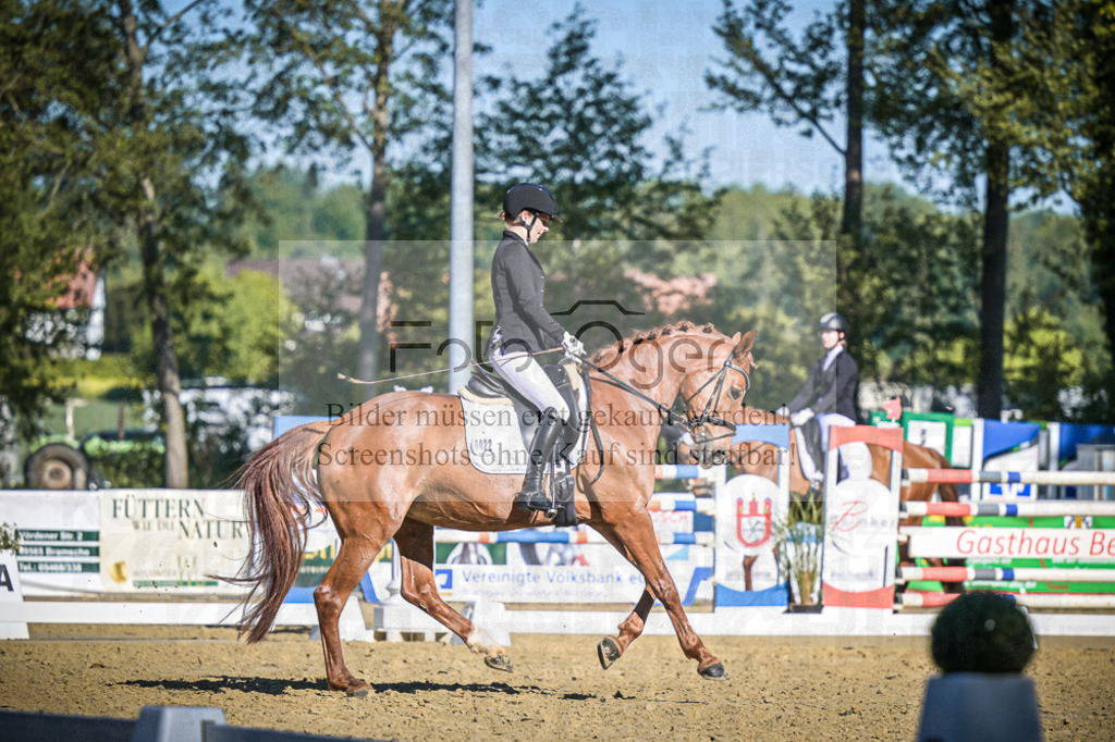 DOS_5307 | Entdecke hochwertige Reitturnierfotos von Foto Oger. Professionell, emotional und authentisch – jetzt Lieblingsmomente im Shop bestellen.Deutschlandweite Turnierfotografie. - Realisiert mit Pictrs.com