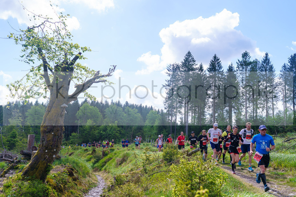 Rennsteiglauf Marathon 2025 | Marathon von Neuhaus/Rwg. nach Schmiedefeld/Rstg. am 17. Mai 2025