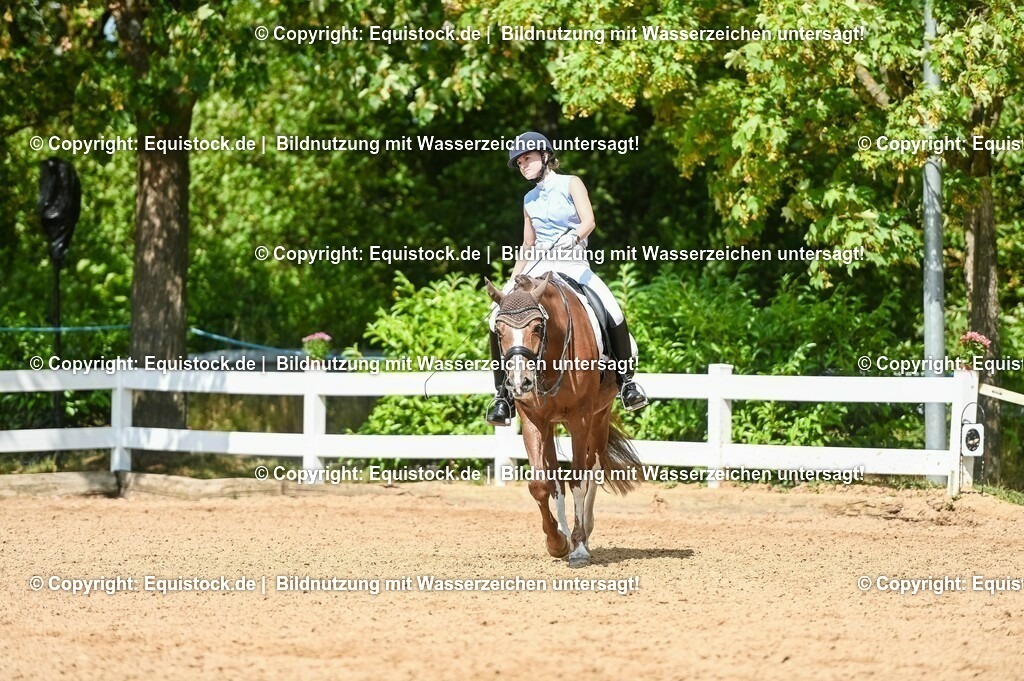 20230716_01_Dressurprüfung Kl.M_0274 | equistock
