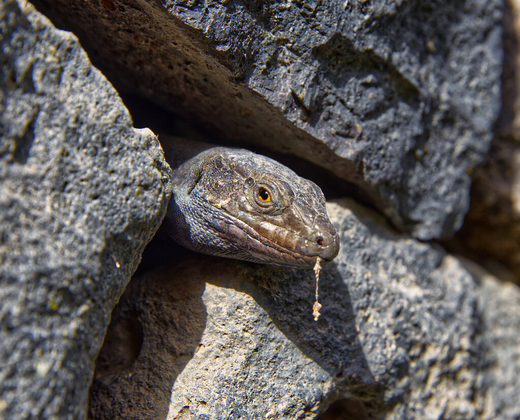 1H5A8444b | ansichtssache