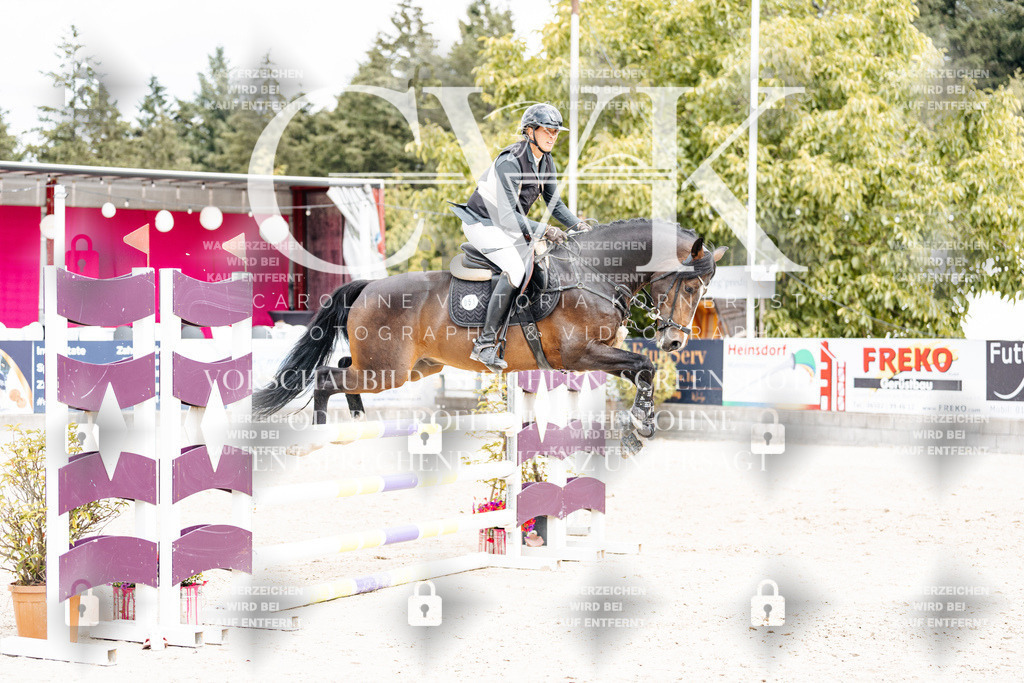 CK909251 | Turnierfotografie Pferdefotografie Trier Rheinland-Pfalz Pferdesport Reitsport Tierfotografie Sportfotografie Pferdevideo Pferdevideografie Equestrianvideography equestrianphotography  - Realisiert mit Pictrs.com