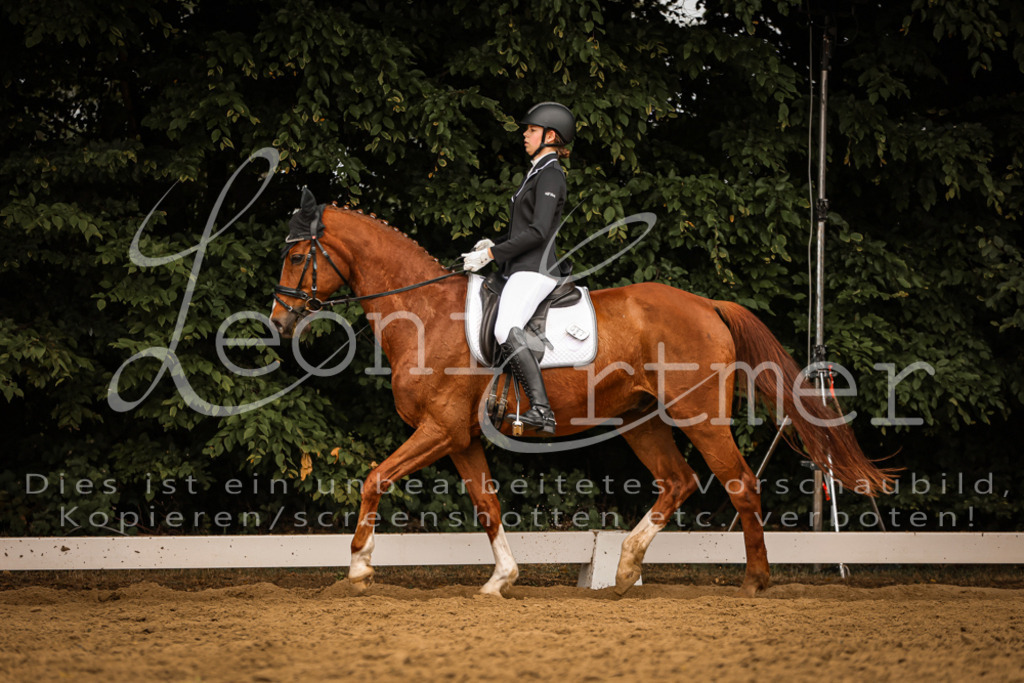 DoDrWB00101 | Leoni Ertmer Photography - Realisiert mit Pictrs.com