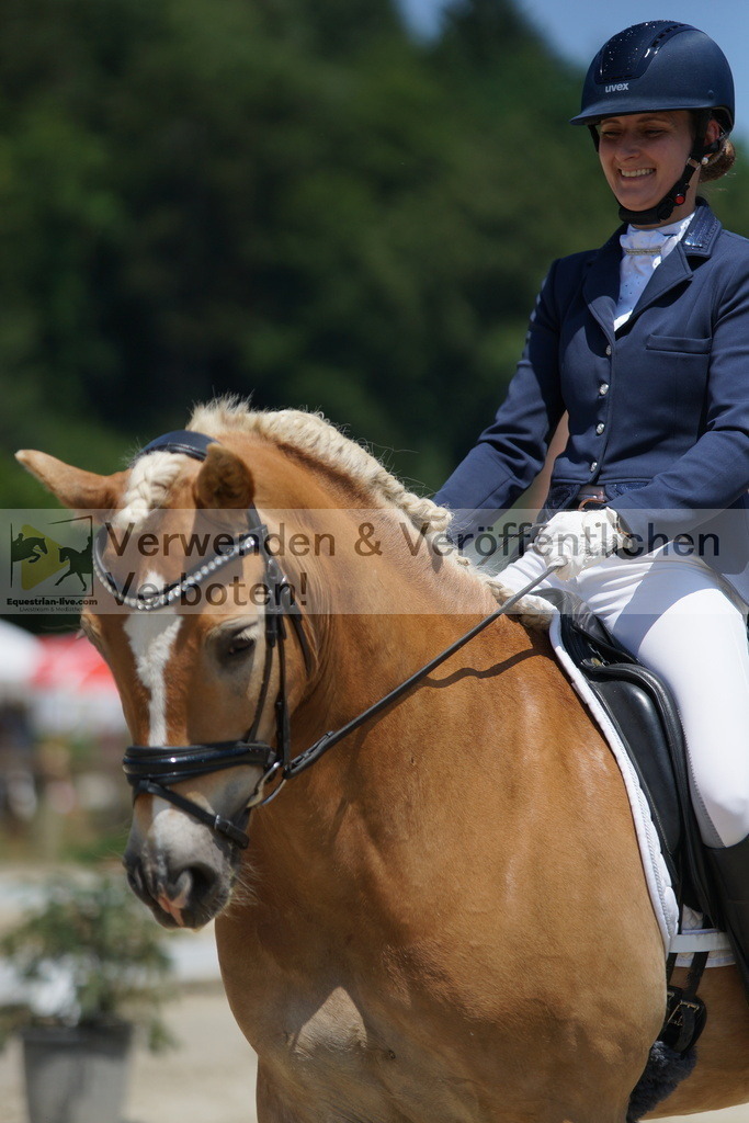 DSC03467 | equestrian-live-com