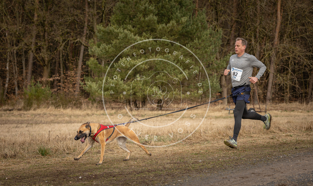 DV3A4136 | Hundefotografie, Tierfotograf, Pfotenfotografie, Fotoshooting Hund, Hunde Portrait, Hundesport, Hundeportraits, Heideshooting, Hunde, Sportfotograf, Hundefotograf, Turnierhundsport, THS,  - Realisiert mit Pictrs.com