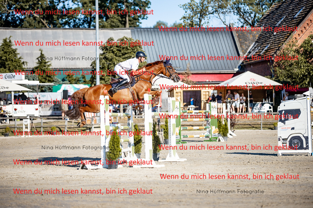 BK1A8265 | Turnierbilder Turnierfotos Nina Hüffmann Turnierfotografie Pferdefotografie Tierzeichnung Haustierzeichnung Pferdezeichnung Hundezeichnung Videograf  - Realisiert mit Pictrs.com