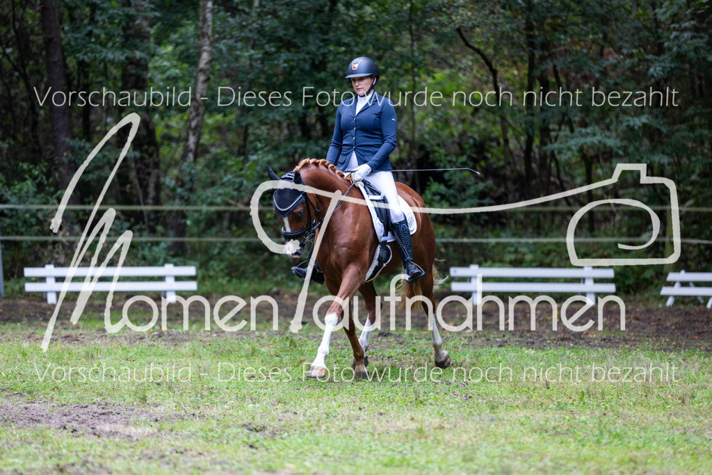 HB-A-Dressur-143 | MomenTaufnahmen Pferdesportfotos