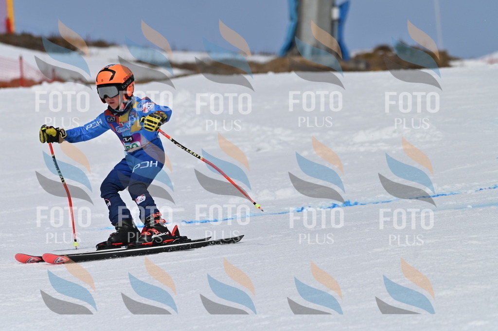 BGV_3353 | holidayphoto