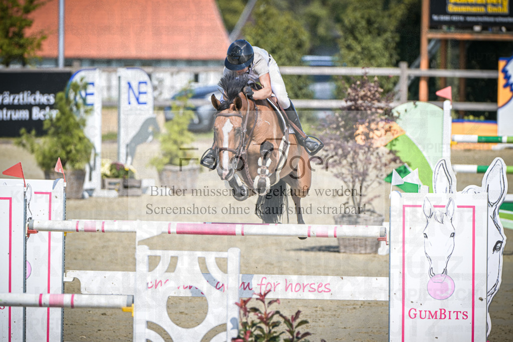 DOS_0105 | Entdecke hochwertige Reitturnierfotos von Foto Oger. Professionell, emotional und authentisch – jetzt Lieblingsmomente im Shop bestellen.Deutschlandweite Turnierfotografie. - Realisiert mit Pictrs.com