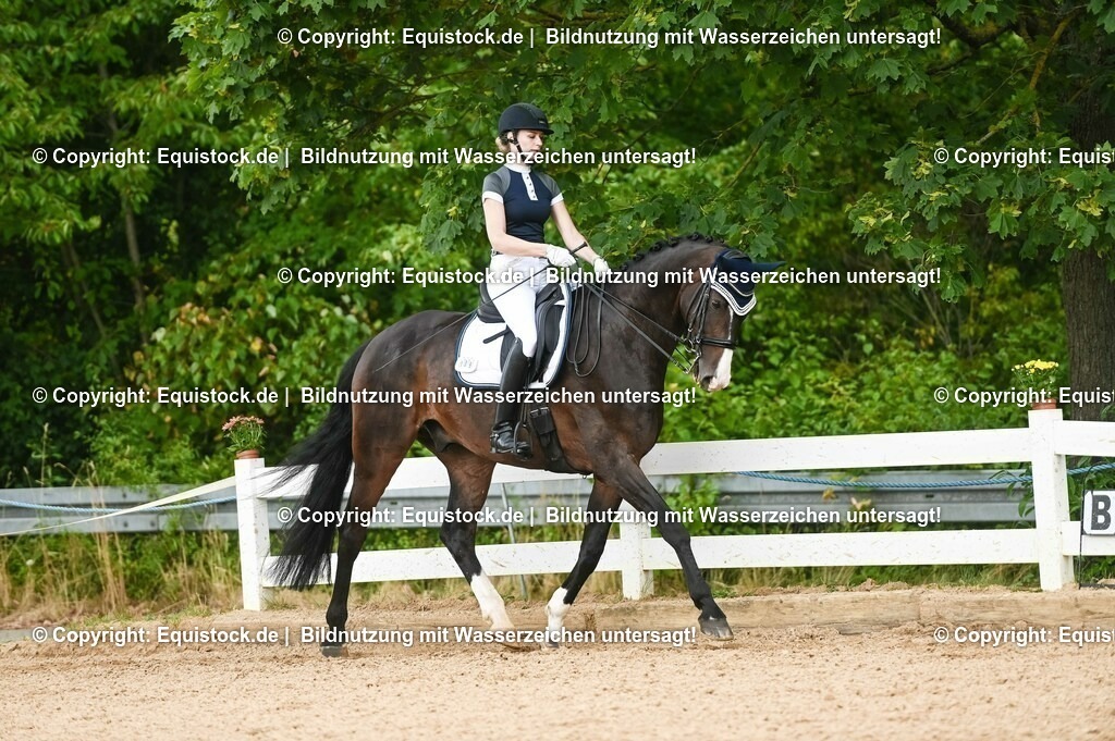 20230716_01_Dressurprüfung Kl.M_0479 | equistock