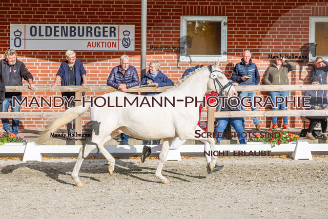 DR (1233 von 1791) | mandyhollmannphotographie