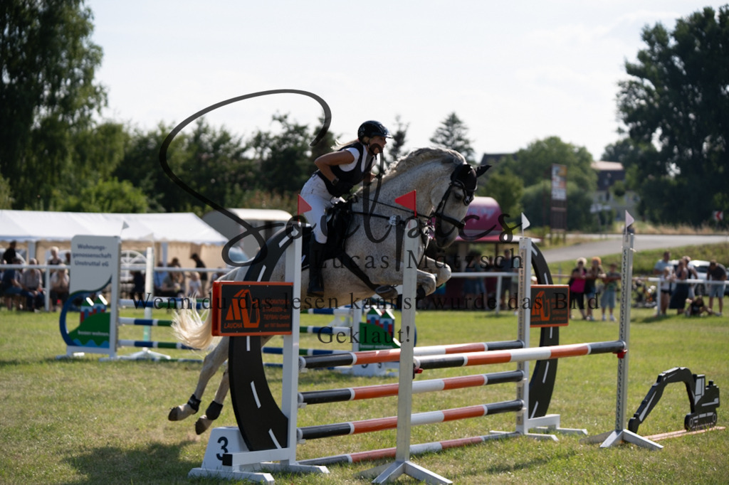 A7V00701 | Pferdefotograf